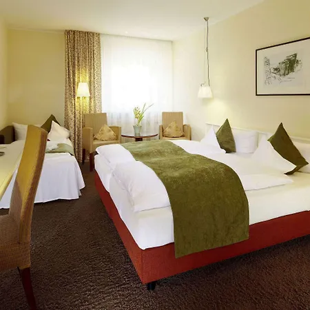 杜特斯赫尔酒店 特里尔