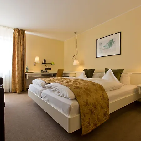 酒店 杜特斯赫尔酒店 特里尔