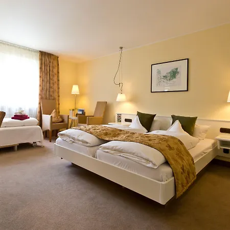 杜特斯赫尔酒店 * 特里尔