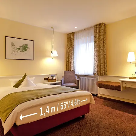 酒店 杜特斯赫尔酒店 特里尔