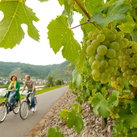 杜特斯赫尔酒店 酒店