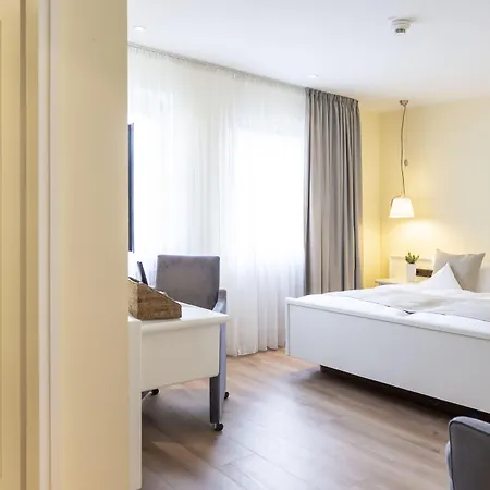 杜特斯赫尔酒店 酒店 特里尔