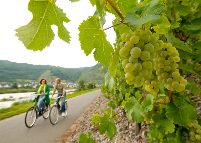 Deutscher Hof Hotell